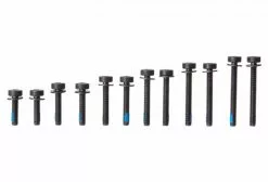 Visserie Torx Magura Flat Mount Arrière