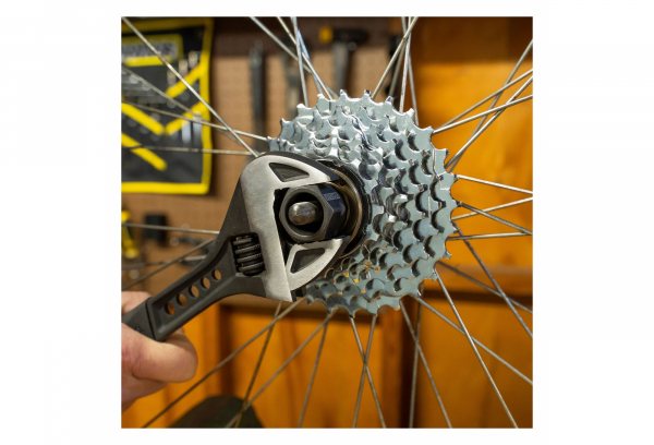 Démonte Roue Libre Multi-Vitesse Pedro's 12-Spline X 23 Mm – Image 5