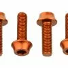 Lot De 4 Vis De Porte-Bidon Wolf Tooth Water Bottle Cage Bolts M5x15 Mm Orange