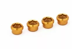 Vis Cheminées Rennen Regular Or (x4)