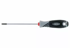 Tournevis Torx VAR T10